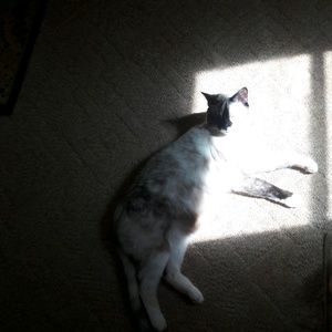 Meet your Posher, Sara